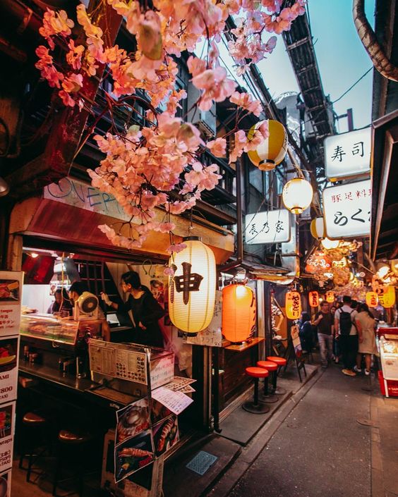 Get To Know Tokyo For More Than What It Looks