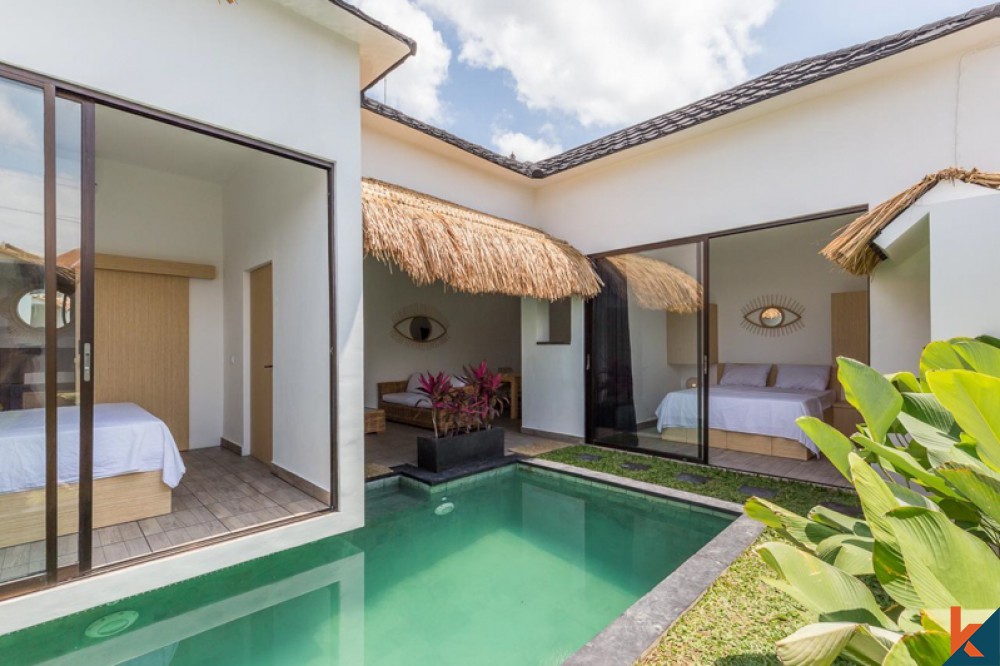 Living in A Villa in Bali for Long Term: 6 Maintenance Tips!